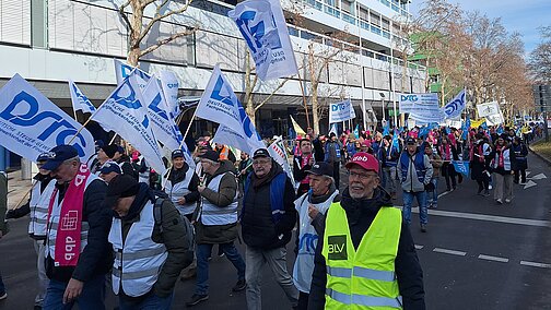 Teilnehmerinnen und Teilnehmer der Demonstration