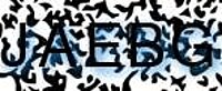 grafischer Sicherheitscode